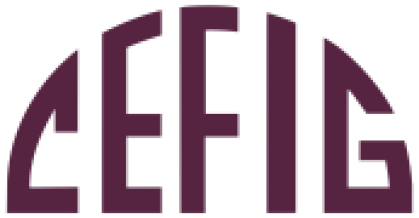 logo:CEFIG asbl